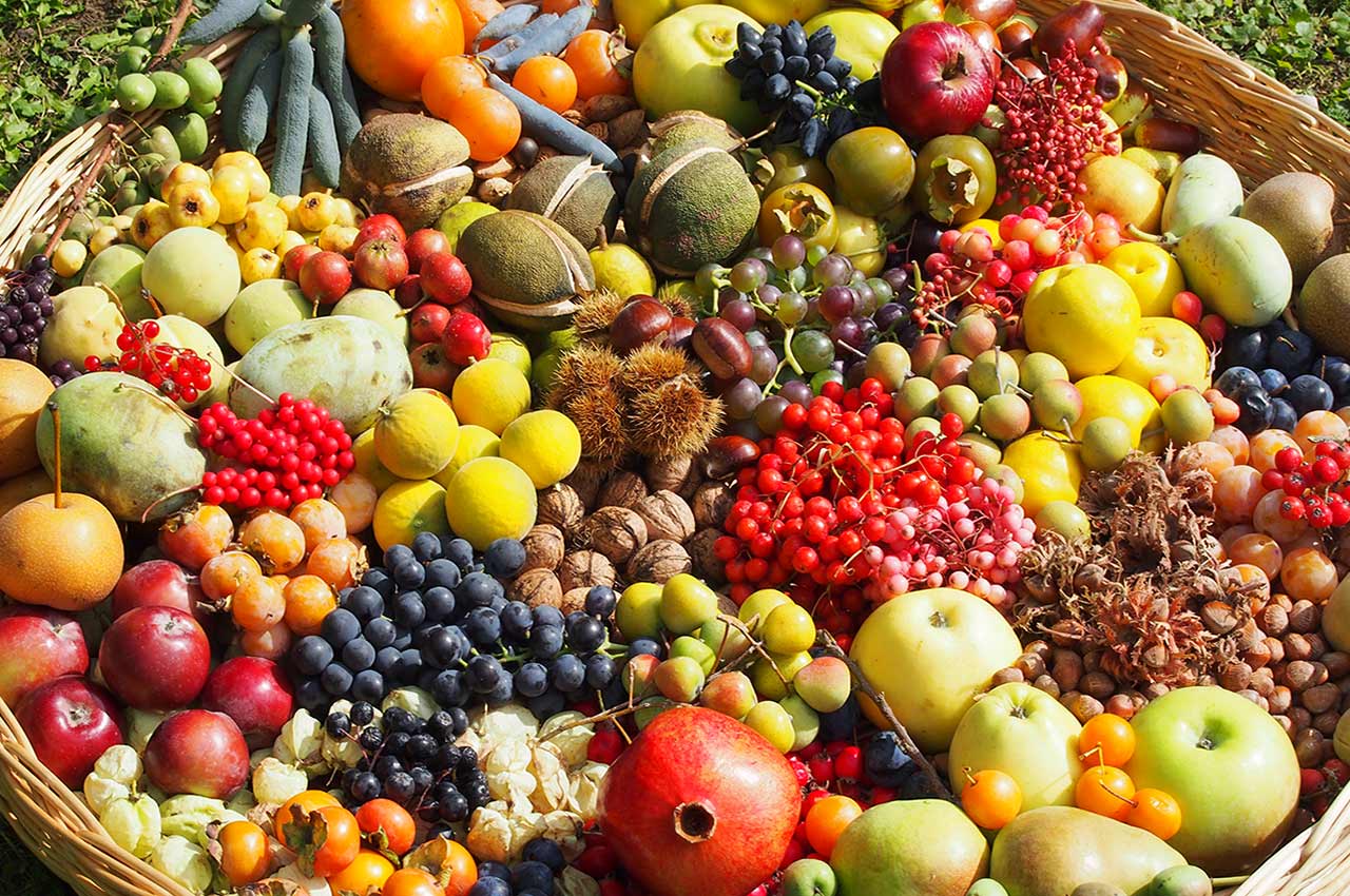 Obstvielfalt entdecken und schmecken